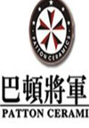 巴顿将军(31集)