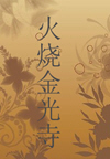 火烧金光寺(李云天)(6回)
